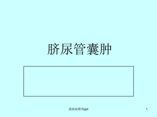 脐尿管囊肿ppt课件