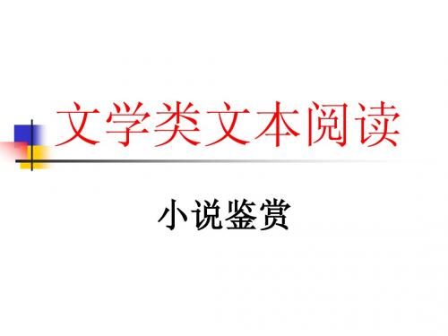 文学类文本小说