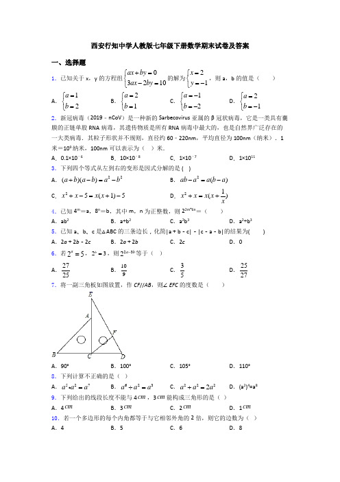 西安行知中学人教版七年级下册数学期末试卷及答案