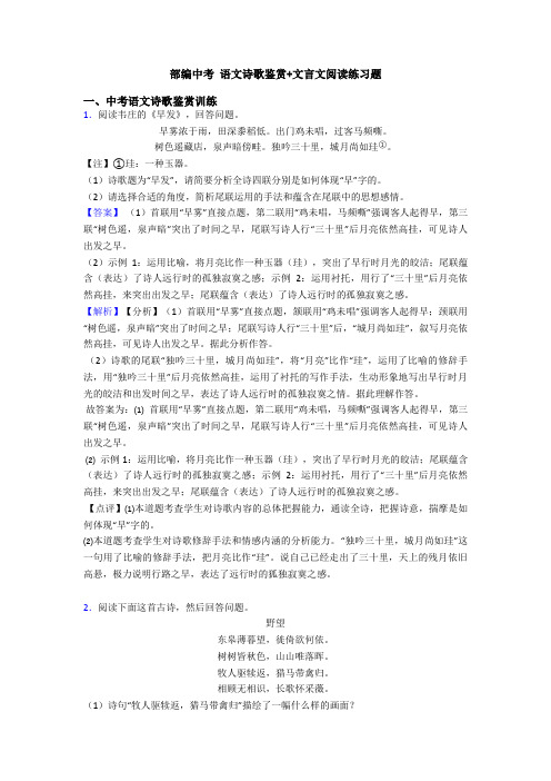 部编中考 语文诗歌鉴赏+文言文阅读练习题 (3)