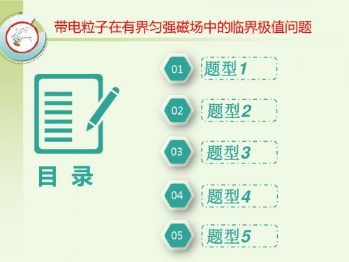 高考物理一轮复习课件：第九单元 带电粒子在有界匀强磁场中的临界极值问题