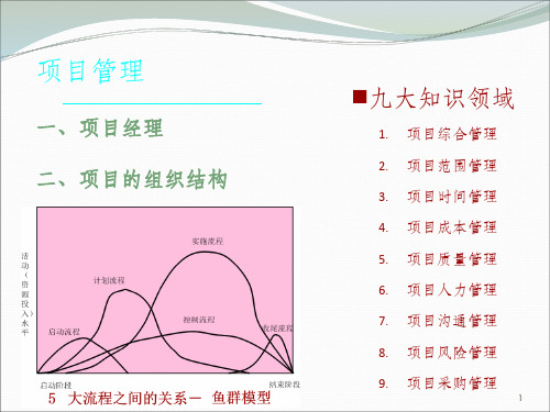 项目管理-项目经理职责和组织结构