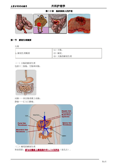 主管护师考试辅导外科护理学20