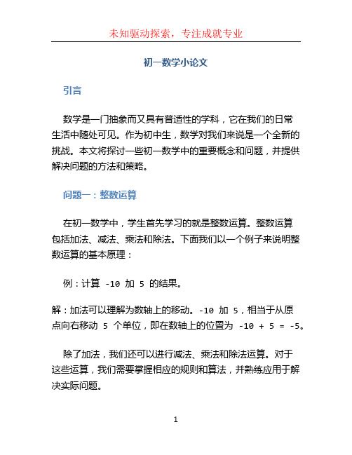 初一数学小论文 (2)