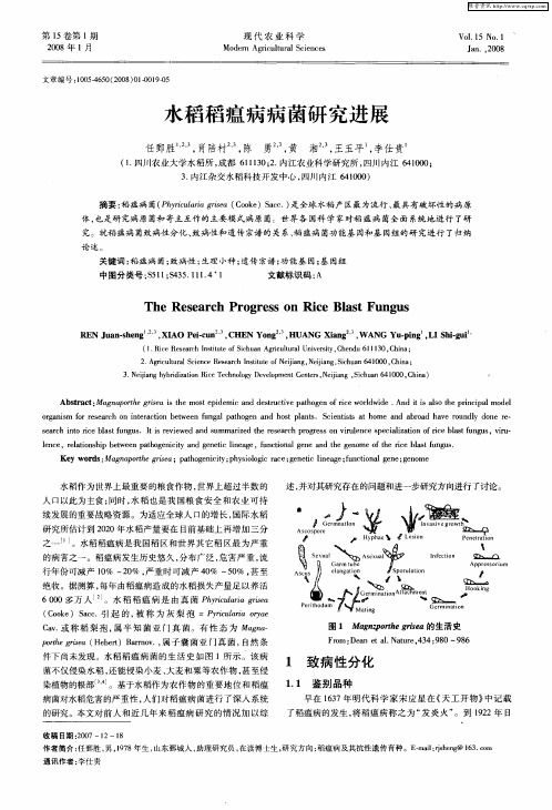 水稻稻瘟病病菌研究进展