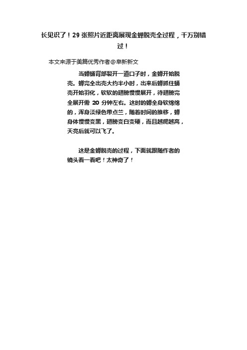 长见识了！29张照片近距离展现金蝉脱壳全过程，千万别错过！