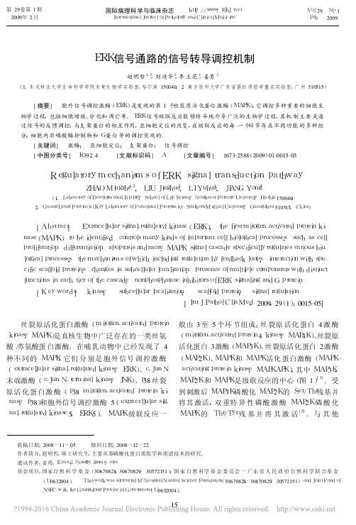 ERK信号通路的信号转导调控机制_赵明哲