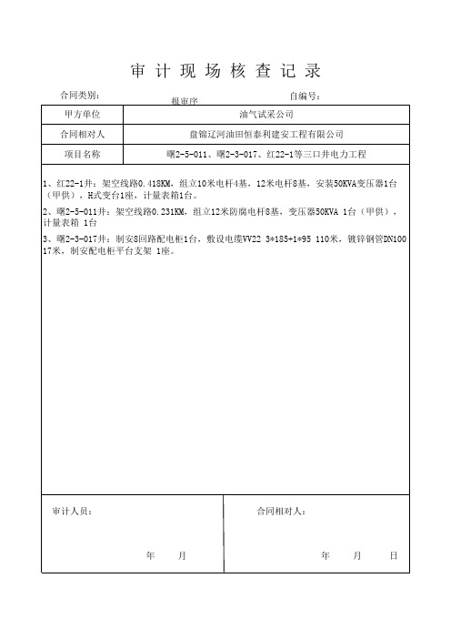 审 计 现 场 核 查 记 录