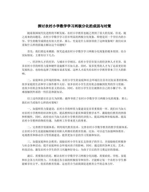 探讨农村小学数学学习两极分化的成因与对策