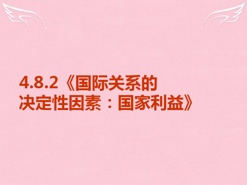 高中政治《国际关系的决定性因素国家利益》课件4 新人教必修2