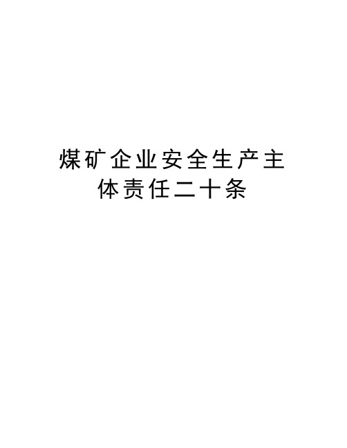 煤矿企业安全生产主体责任二十条培训讲学