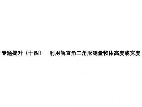 九年级数学专题复习课件-利用解直角三角形测量物体高度或宽度 (共28张PPT)