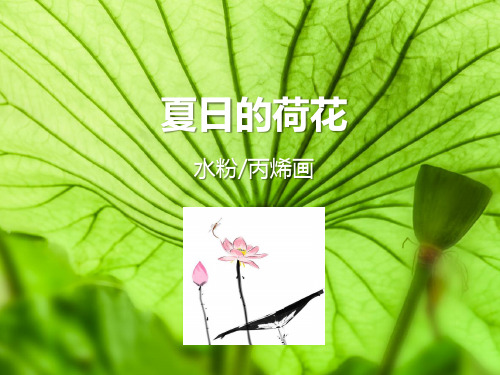 创意儿童画-中班美术第17课-夏日的荷花