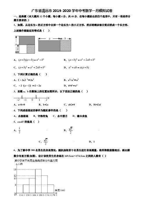 广东省清远市2019-2020学年中考数学一月模拟试卷含解析