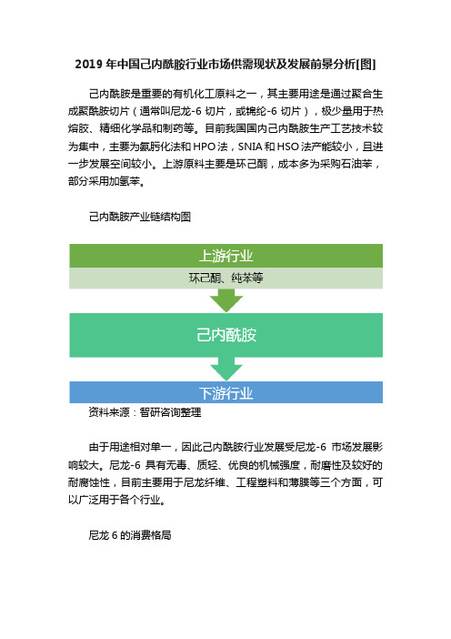 2019年中国己内酰胺行业市场供需现状及发展前景分析[图]