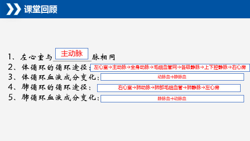 10.1 食物中能量的释放-七年级生物下册同步优质教学课件(北师大版)