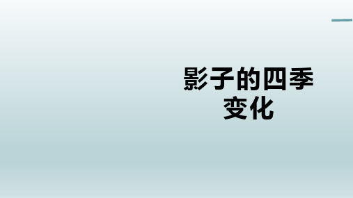 影子的四季变化--科学课件