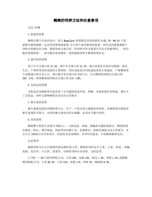 鹌鹑的饲养方法和注意事项