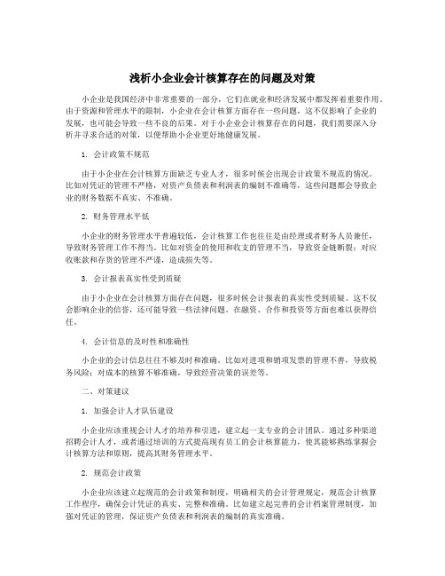 浅析小企业会计核算存在的问题及对策