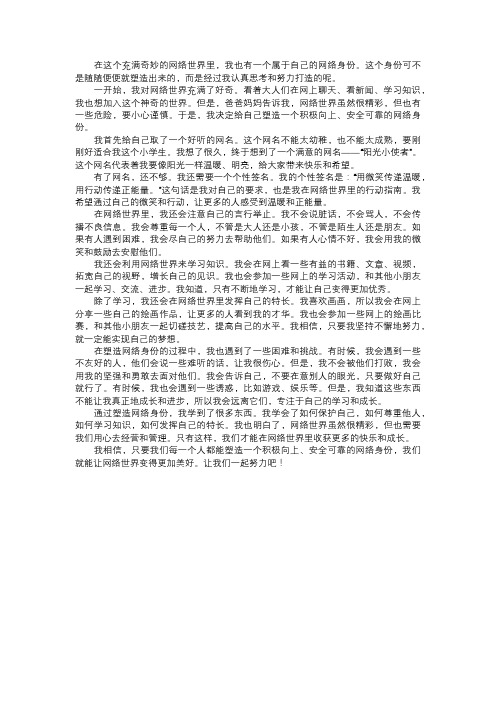 我塑造的网络身份