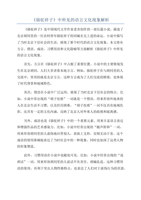 《骆驼祥子》中所见的语言文化现象解析