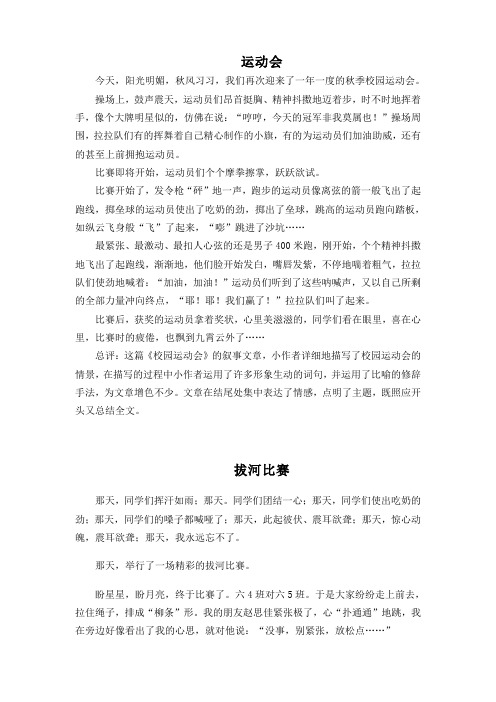 部编版习作二《多彩的活动》范文汇总