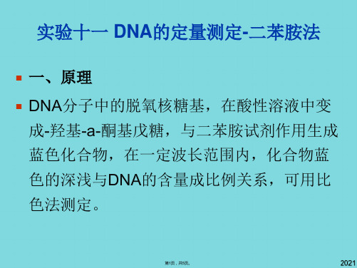 DNA的定量测定二(与“苯胺”有关优秀PPT)