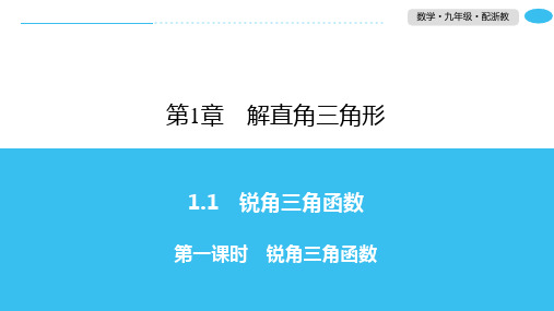 1.1 第1课时锐角三角函数-2020春浙教版九年级数学下册习题课件(共18张PPT)