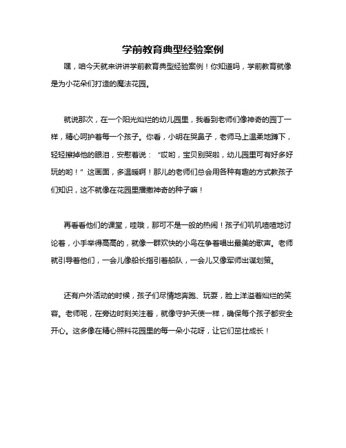 学前教育典型经验案例