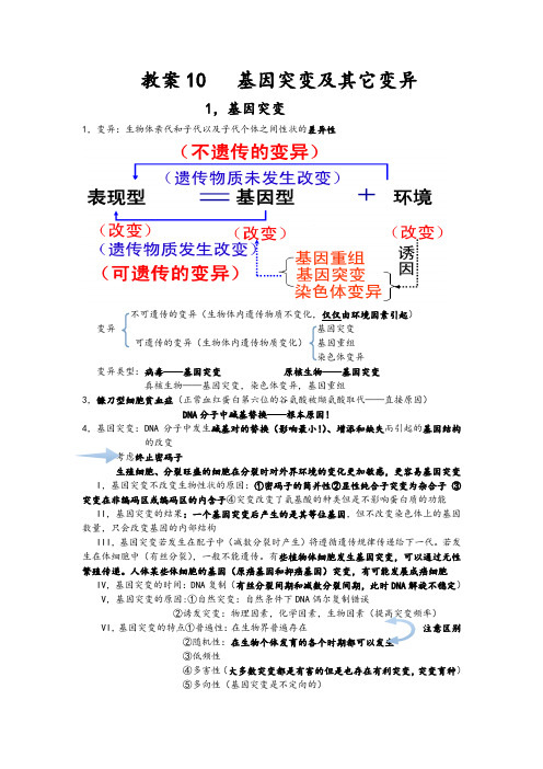 教案10基因突变及其它变异