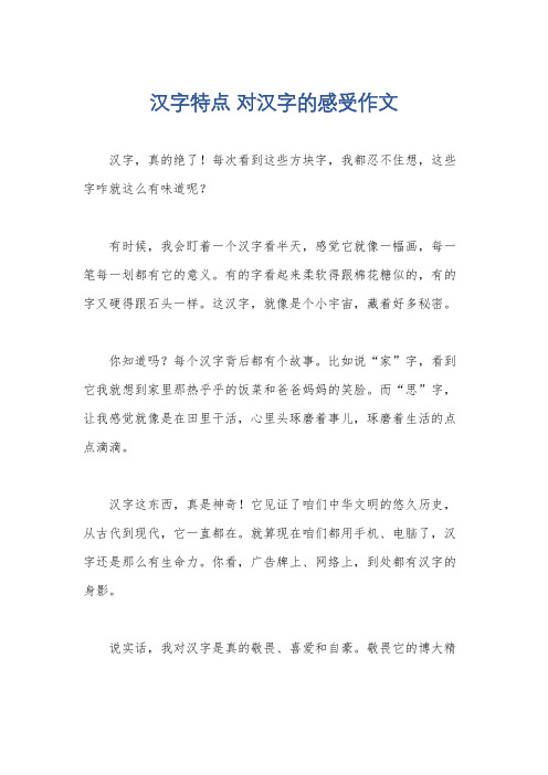 汉字特点 对汉字的感受作文