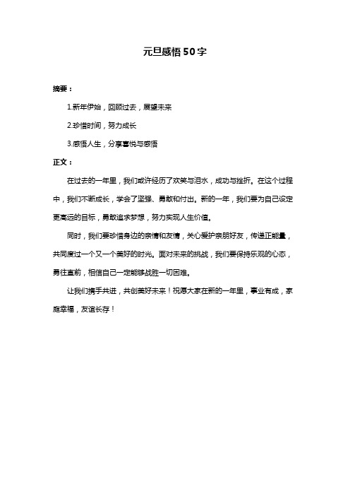 元旦感悟50字