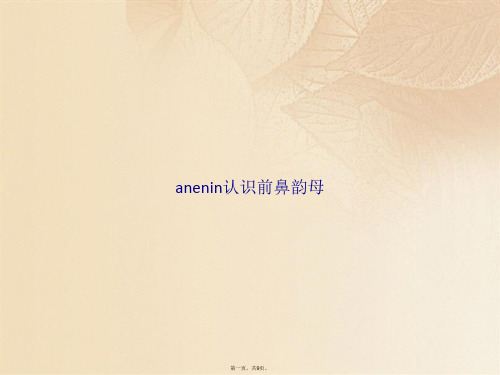 anenin认识前鼻韵母(共9张PPT)