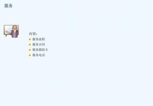 SAPBusinessOne教程_轻松入门_服务
