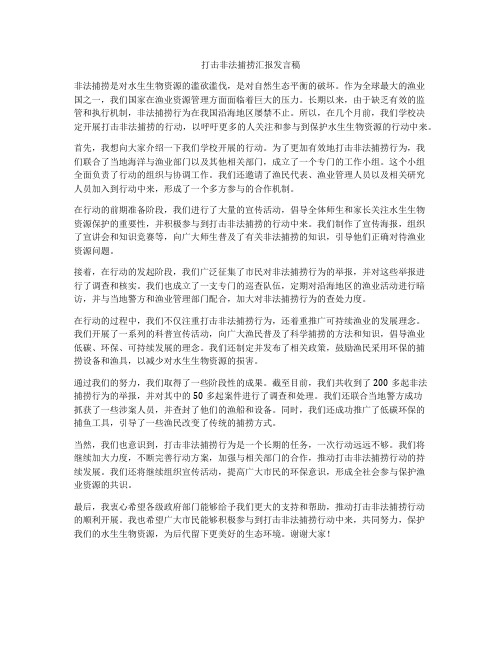 打击非法捕捞汇报发言稿