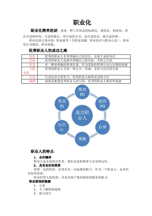 职业化标准