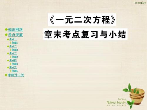 2016年秋季新版华东师大版九年级数学上学期第22章、一元二次方程单元复习课件9