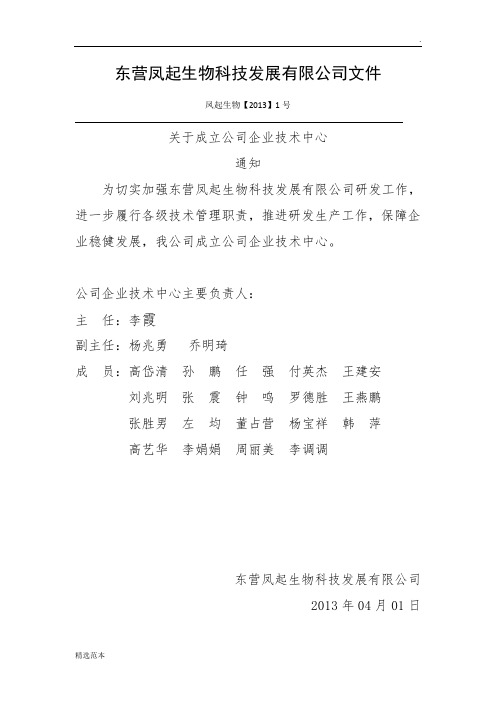 公司任命文件