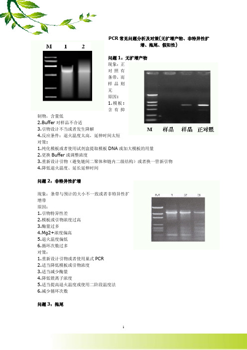 PCR常见问题分析及对策