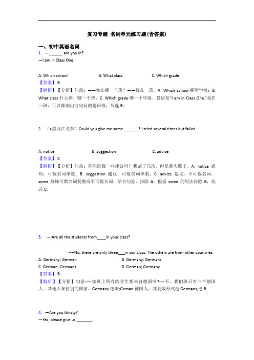 复习专题 名词单元练习题(含答案)