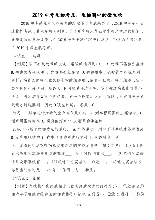 中考生物考点:生物圈中的微生物