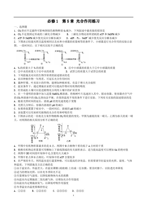 04必修1光合作用与呼吸作用练习(较难)