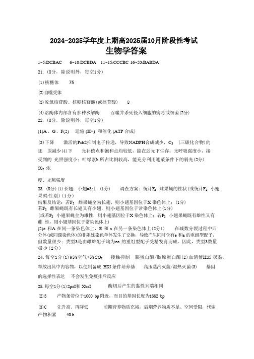 四川省成都市第七中学2024-2025学年高三上学期10月月考生物试题答案