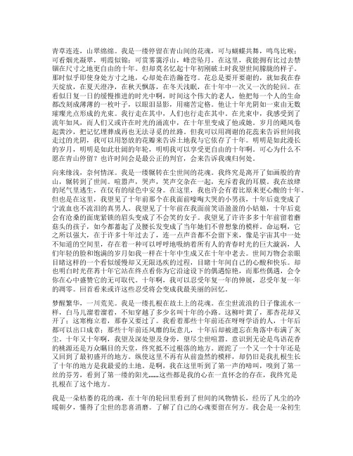 十年精美散文 十年散文董卿(精选十一篇)