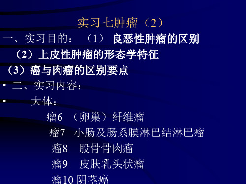 病理实习PPT课件实习7肿瘤(2)(ppt文档)