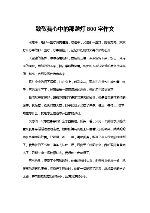 致敬我心中的那盏灯800字作文