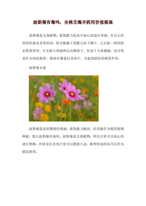 波斯菊有毒吗,全株无毒并药用价值极高