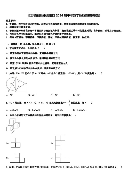 江苏省宿迁市泗阳县2024届中考数学适应性模拟试题含解析