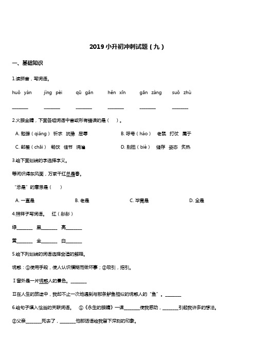 2019年小升初冲刺语文试题(9) 人教新课标 含答案