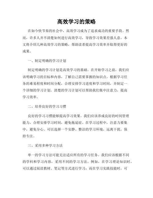 高效学习的策略